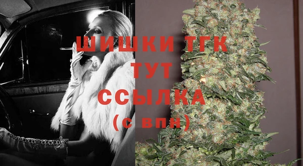 гашик Пересвет