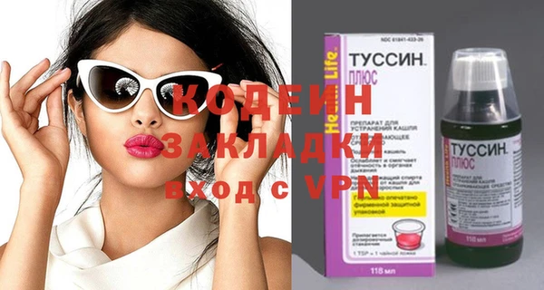 гашик Пересвет