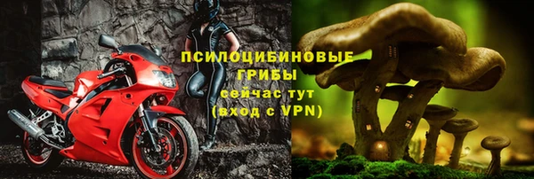 каннабис Покачи