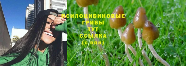 каннабис Покачи