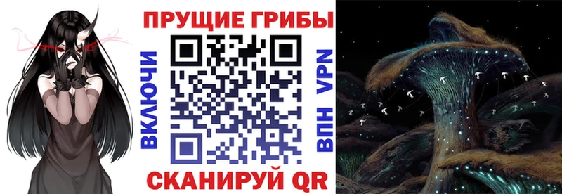 кракен зеркало  Светлоград  Галлюциногенные грибы мухоморы 