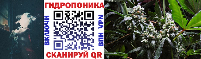 Каннабис MAZAR  Светлоград 